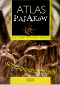Atlas pająków