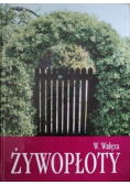 Żywopłoty