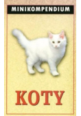 Koty