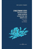 Cywilizowanie dzieci Społeczno-kulturowe badania dzieciństwa w perspektywie teorii Norberta Eliasa
