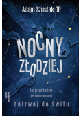 Nocny złodziej