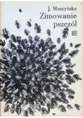 Zimowanie pszczół