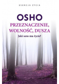 Przeznaczenie wolność dusza