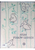 Atlas ptaków leśnych