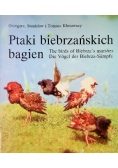 Ptaki biebrzańskich bagien