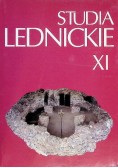 Studia lednickie Nr 11 / 12