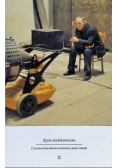 Życie niedokończone