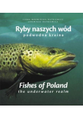 Ryby naszych wód