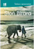 Słoń Birara. Lektura z opracowaniem