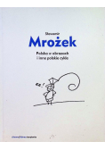 Polska w obrazach i inne polskie cykle