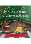 Nie tak dawno w Zwierzaczkowie Jak koty miauy bal