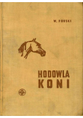 Hodowla koni