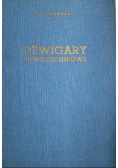 Dźwigary powierzchniowe