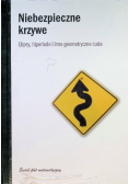 Niebezpieczne krzywe