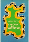 Spacerki po Olsztynie