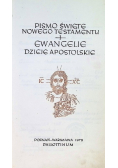Pismo Święte Nowego Testamentu Ewangelie Dzieje Apostolskie
