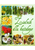 Zielnik dla każdego Bellona