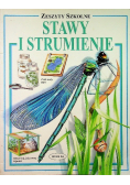 Zeszyty szkolne Stawy i strumienie