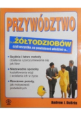 Przywództwo dla żółtodziobów
