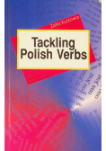 Tackling polish verbs