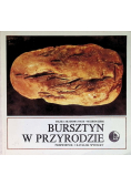 Bursztyn w przyrodzie