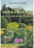 Dobór drzew i krzewów w kształtowaniu terenów zieleni