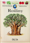 Rośliny