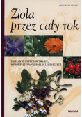 Zioła przez cały rok