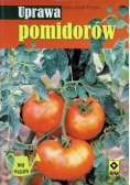 Uprawa pomidorów