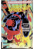 The amazing Spiderman Człowiek pająk Nr 6
