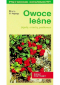 Owoce leśne