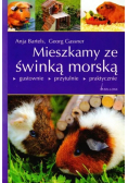 Mieszkamy ze świnką morską