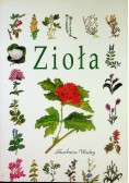Zioła