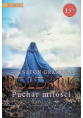Poldark Puchar miłości