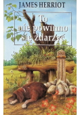 To nie powinno się zdarzyć