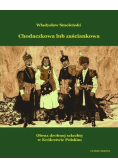 Chodaczkowa lub zaściankowa