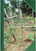 Historia zapisana w lesie