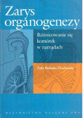 Zarys organogenezy Różnicowanie się komórek w narządach