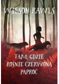 Tam gdzie rośnie czerwona paproć