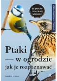 Ptaki w ogrodzie - jak je rozpoznawać