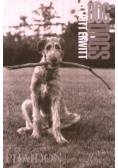 Dog Dogs