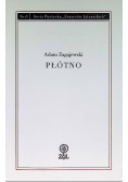 Płótno