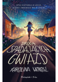 Drogą spadających gwiazd