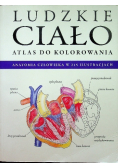 Atlas do kolorowania Ludzkie ciało