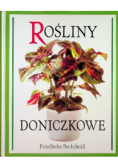 Rośliny doniczkowe