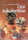 Rośliny w domu: Czar sukulentów