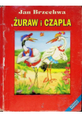 Żuraw i czapla
