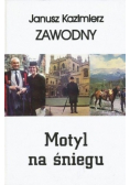 Motyl na śniegu