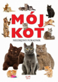 Mój kot niezbędny poradnik