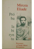 Próba labiryntu